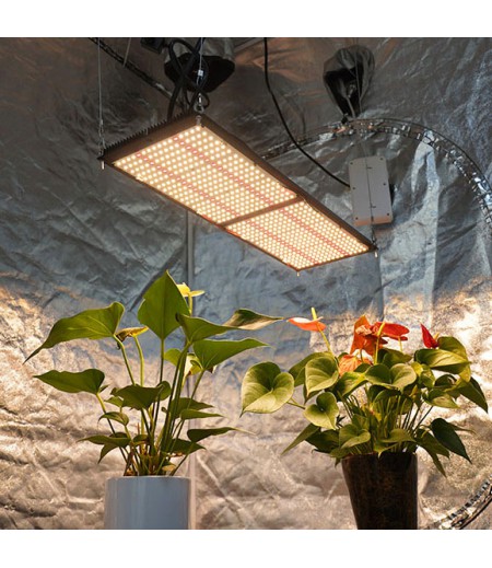 Epistar led 2024 grow light